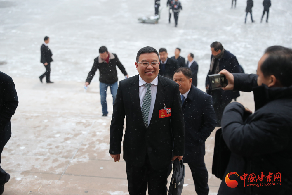 【聚焦2020甘肅兩會(huì)】“兩會(huì)”代表、委員風(fēng)采掠影（組圖）