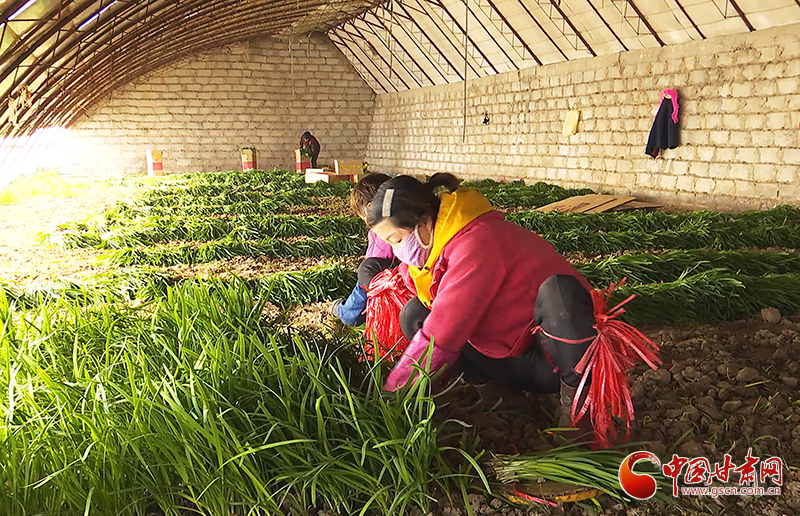 【甘肅全民戰(zhàn)“疫”】瓜州:守住“安全線” 鼓起“錢袋子”(圖)