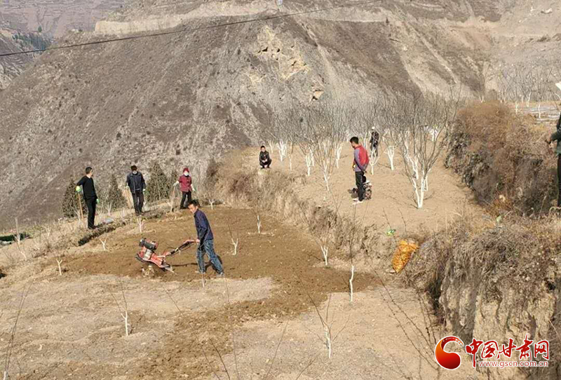 隴南武都區(qū):“主題黨日”活動接地氣 “黨員服務(wù)隊”田間地頭助春耕(圖)