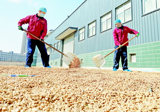 定西隴西縣:開足馬力復(fù)工復(fù)產(chǎn)全力保障藥品供給