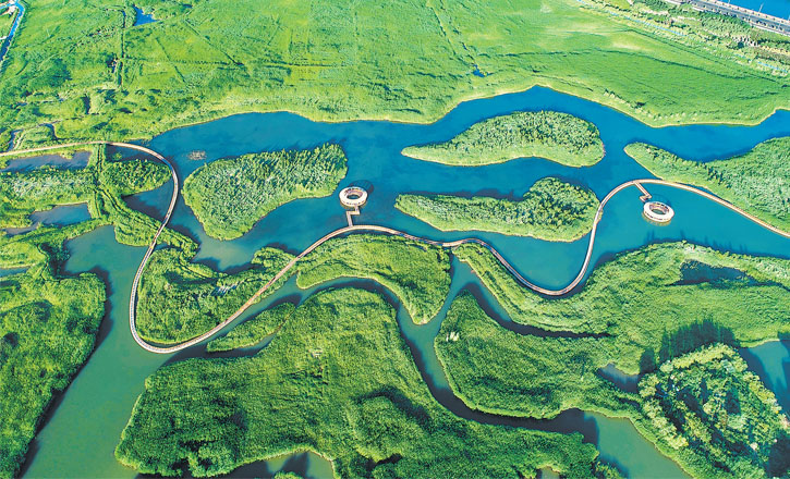 保護好自然資源 守護住綠水青山 ——甘肅省扎實推進(jìn)自然資源事業(yè)高質(zhì)量發(fā)展側(cè)記