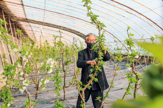 銅城復蘇：春光明媚，邀你共賞芳華（組圖）