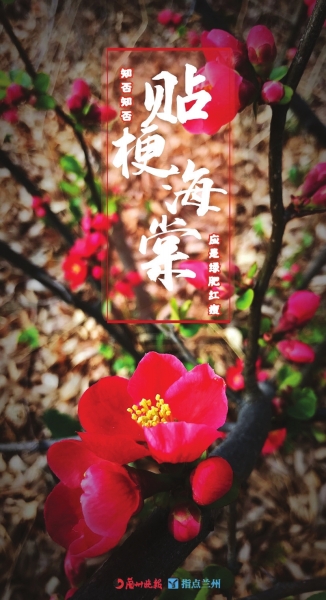 來，跟這些美美的花朵認(rèn)識(shí)一下！