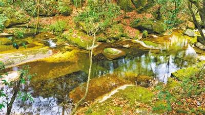 甘肅旅游丨八福溝，西秦嶺深處的水韻秘境