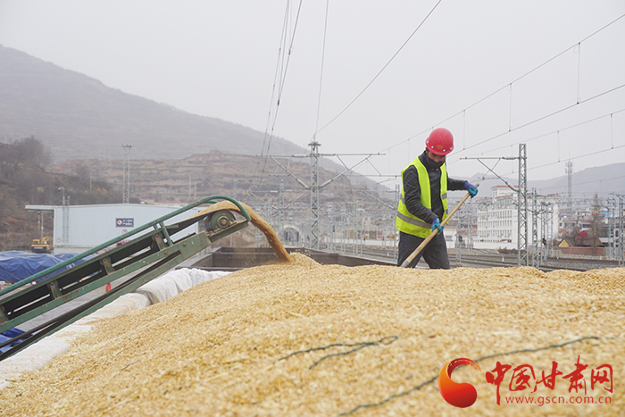 蘭州貨運中心岷縣營業(yè)部黨支部為客戶解愁為企業(yè)復(fù)工復(fù)產(chǎn)按下“快進(jìn)鍵”