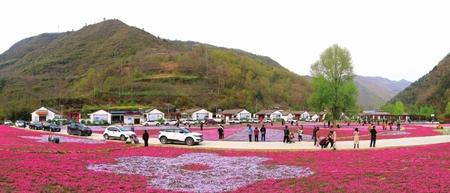 美麗隴南，風(fēng)景這邊獨(dú)好——隴南市推進(jìn)鄉(xiāng)村旅游高質(zhì)量發(fā)展綜述