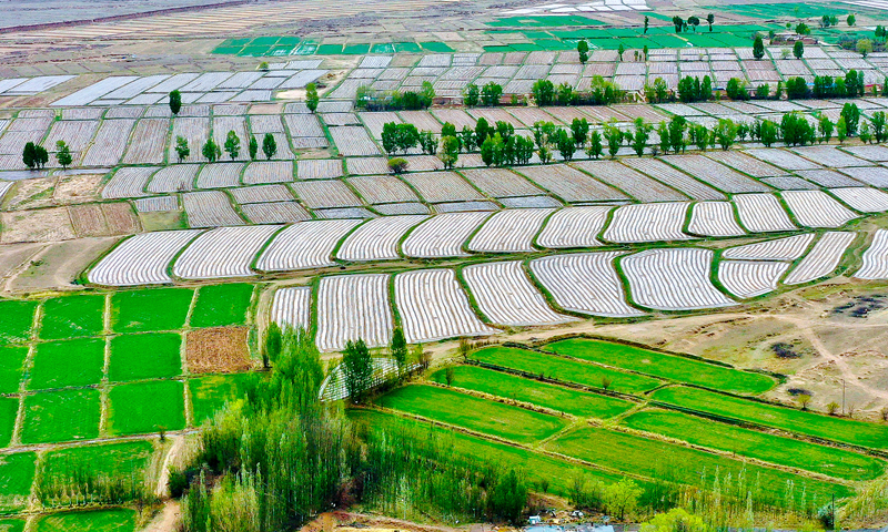 【小隴畫報(bào)·88期】甘肅山丹:騰退復(fù)墾 沃野縱橫煥生機(jī)