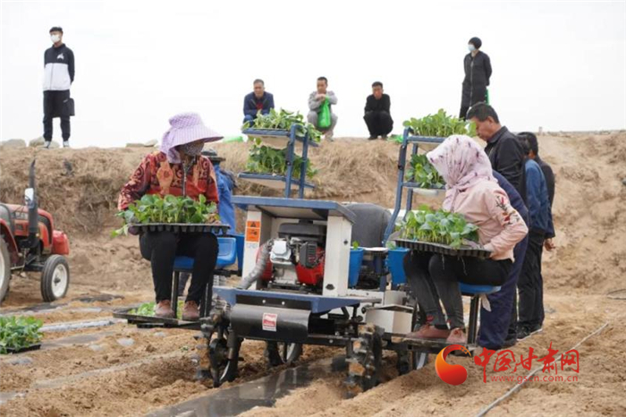 【甘肅省決戰(zhàn)決勝脫貧攻堅(jiān)】蘭州榆中:推廣機(jī)械化種菜 提升高原夏菜供應(yīng)能力