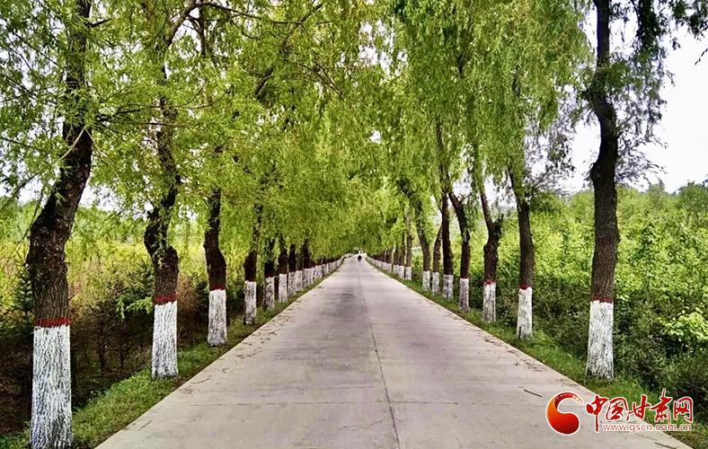 【甘肅省決戰(zhàn)決勝脫貧攻堅(jiān)】臨夏縣:脫貧攻堅(jiān)顯成效 鄉(xiāng)村面貌大變樣(圖)