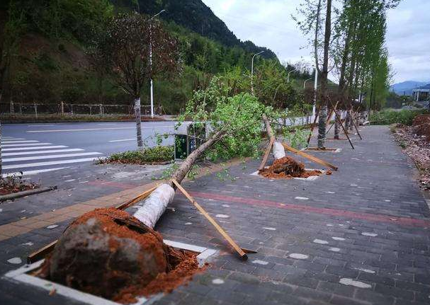 刮風(fēng)下雨加速新冠病毒傳播？別信！