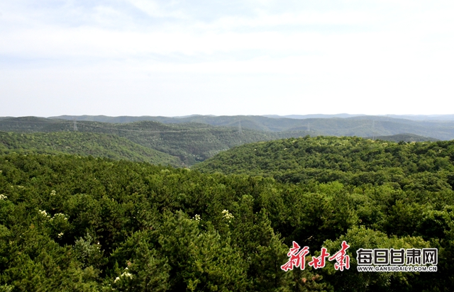 【甘肅生態(tài)環(huán)保媒體行】子午嶺深處，一家三代人用生命守護(hù)黃土高原的“天然生態(tài)屏障”