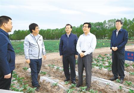 林鐸在天?？h調研指導脫貧攻堅工作時強調  拉開架勢持續(xù)用力構建扶貧產業(yè)體系 多措并舉固強補弱鞏固提升脫貧成果