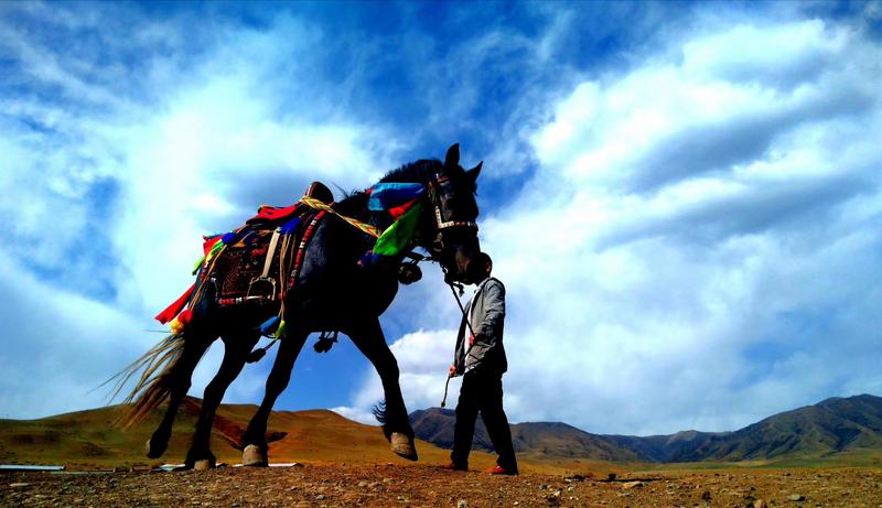 好消息！天祝被命名為“中國高原走馬之鄉(xiāng)”