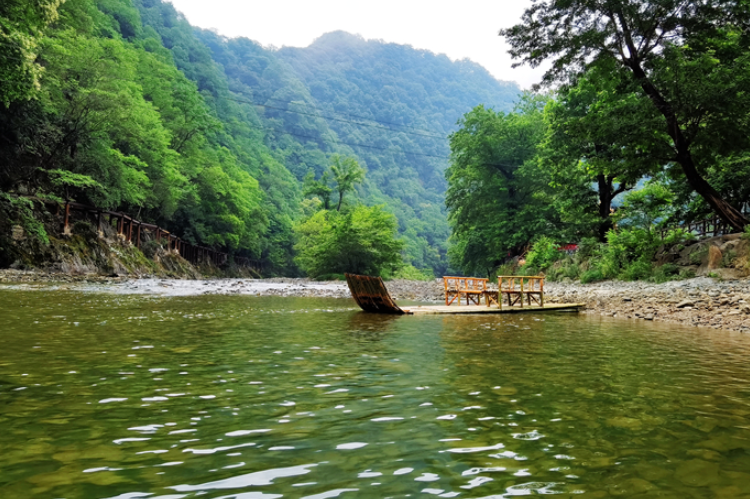 【小隴畫報·95期】康縣：來陽壩，“森”呼吸，我“氧”你