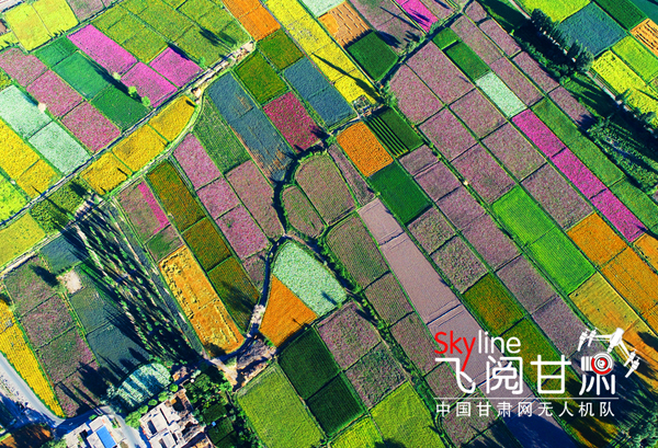 【飛閱甘肅】疏勒河灌區(qū):一幅描繪在大漠深處的絢麗畫卷