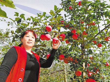 【走向我們的小康生活】馮巧葉，“大家一起過好日子”