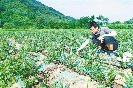 【走向我們的小康生活】安居樂業(yè) 幸?；ㄩ_