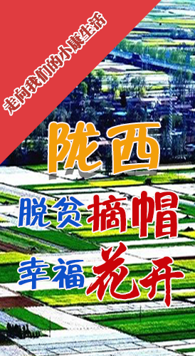 【走向我們的小康生活】長圖|隴西：脫貧摘帽 幸?；ㄩ_