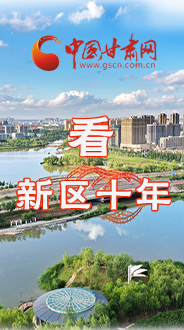 圖解|崛起！新區(qū)十年