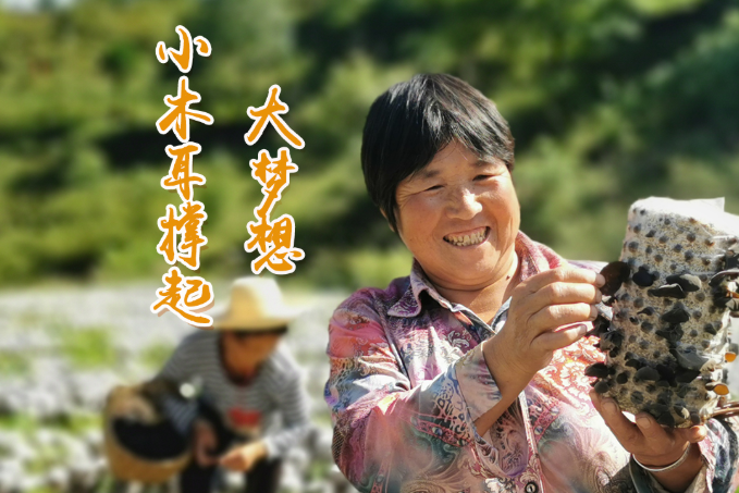 海報(bào)丨他們，乘“豐”破浪！