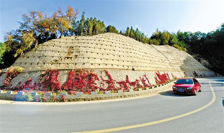 近90度陡坡上種樹！蘭州南北兩山綠化出新招