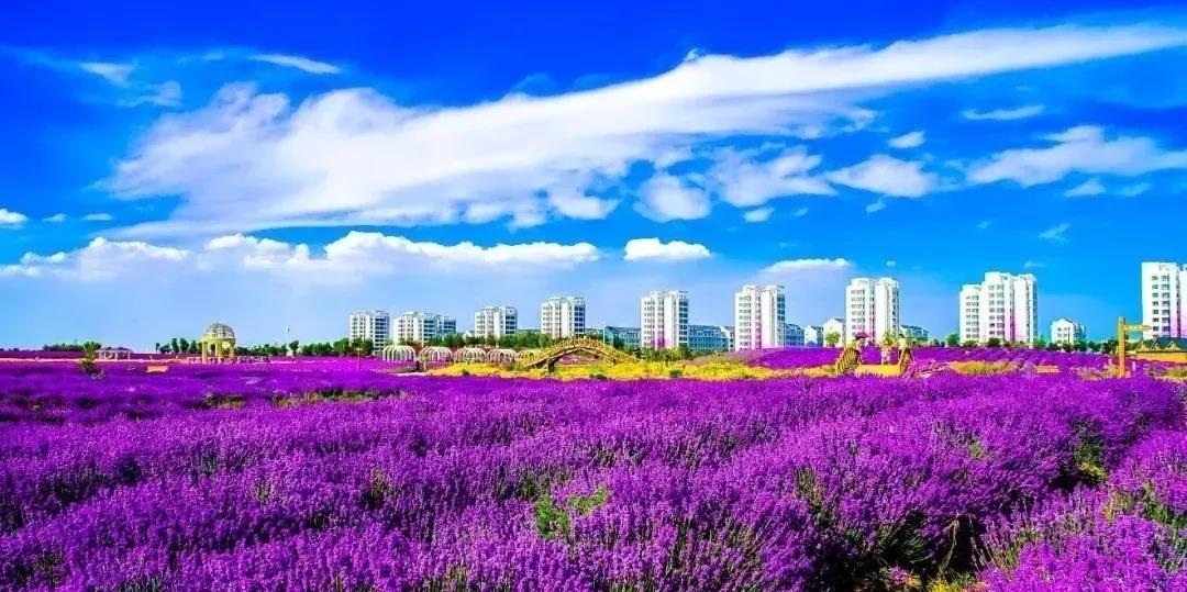 喜訊！金昌蟬聯(lián)全國文明城市