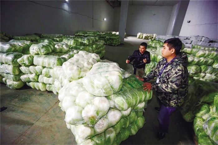 蘭州市已儲備1萬噸冬春蔬菜以耐貯存、易周轉(zhuǎn)品種為主