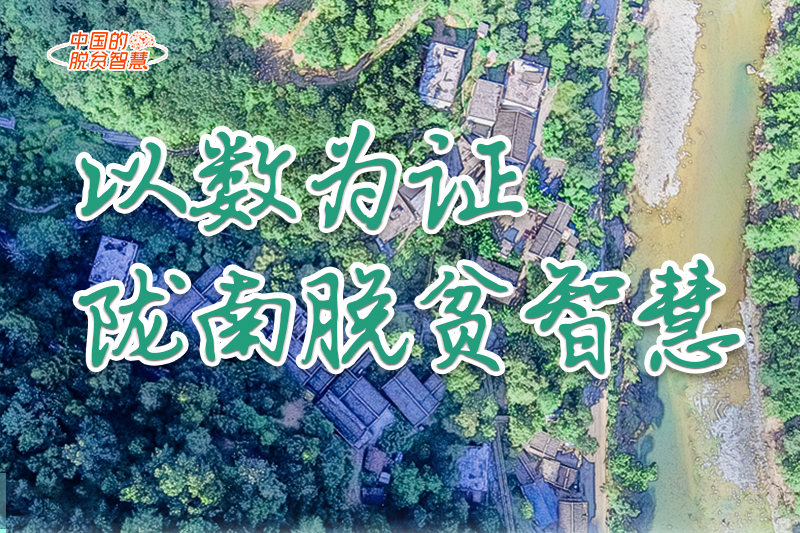 【中國(guó)的脫貧智慧】以數(shù)為證！隴南脫貧智慧來(lái)了！