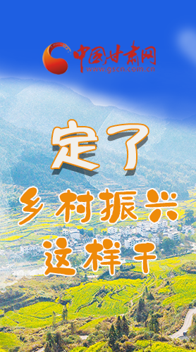 圖解|定了！全面推進(jìn)鄉(xiāng)村振興這樣干！