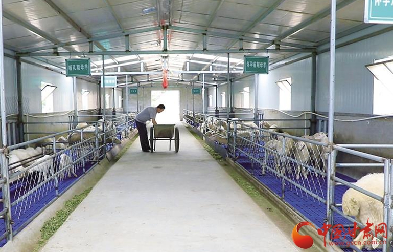 【小康之路 奮斗有我】懷一顆初心 擔(dān)一肩使命——記全國脫貧攻堅先進(jìn)個人劉小兵