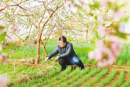 甘肅：時(shí)令催人耕種忙，不誤田間一季春