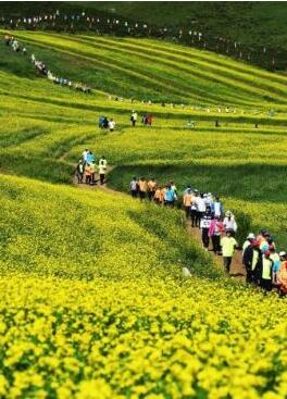 甘肅明確農(nóng)民進(jìn)城落戶(hù):不以退出承包地、林地等為條件