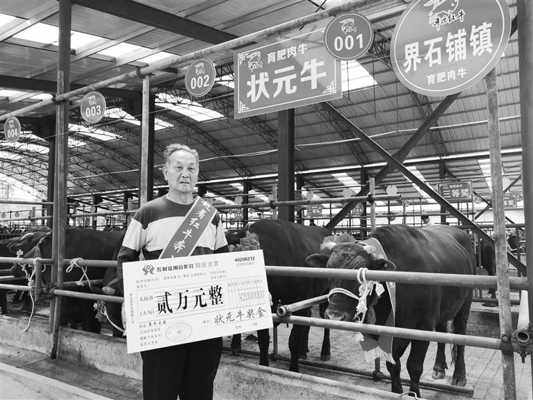 120頭“平?jīng)黾t?！膘o寧爭霸