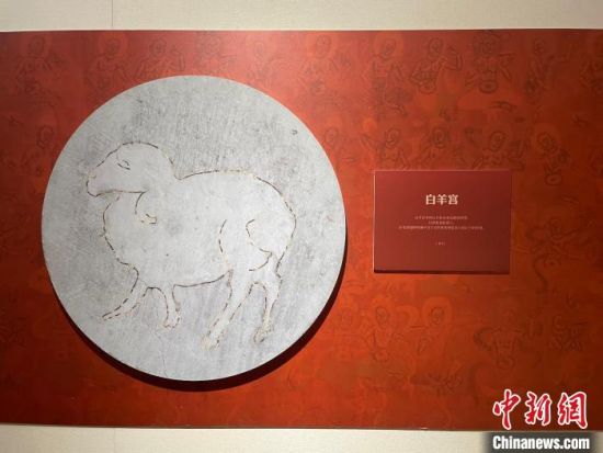 圖為展覽現(xiàn)場?！〗瓧顭?攝
