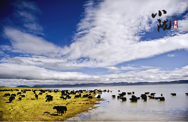 【小隴畫(huà)報(bào)·118期】高原明珠尕海湖 綠水青山繪錦繡