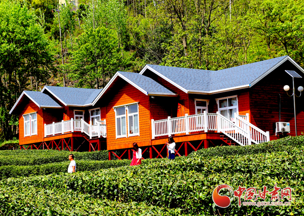 文縣:“體驗(yàn)式”民宿 開(kāi)啟茶農(nóng)增收“新路子”