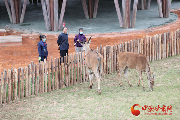 蘭州野生動(dòng)物園自12月18日起開通自駕游 試運(yùn)營期間收費(fèi)100元/輛