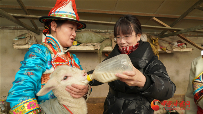 【履職盡責(zé)喜迎全國兩會】全國政協(xié)委員賀穎春:走訪牧民聽民意  建言資政為基層