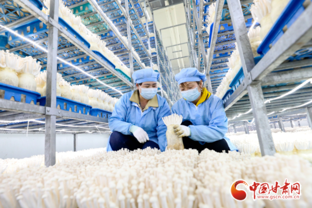 【甘快看】張掖甘州:民生工程項(xiàng)目惠百姓