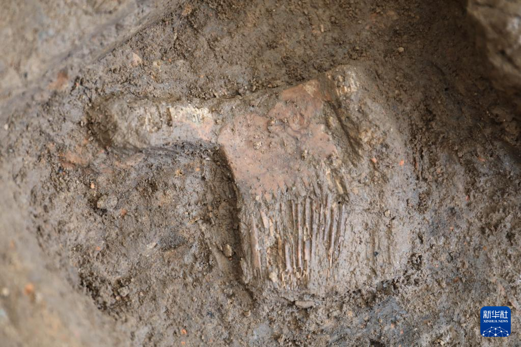 河南南陽市黃山新石器時代遺址出土的屈家?guī)X文化骨梳（資料圖）。