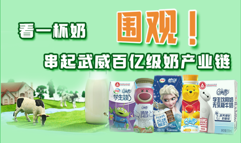 圖解|圍觀！看一杯奶串起武威百億級奶產(chǎn)業(yè)鏈