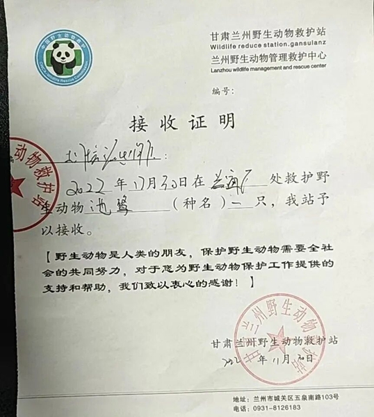 受到救助的池鷺被蘭州野生動物保護站接收。（蘭州市公安局七里河分局供圖）