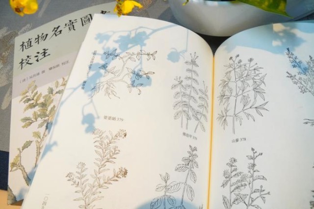 《植物名實(shí)圖考校注》內(nèi)頁(yè)。圖片來(lái)源：中華書(shū)局供圖