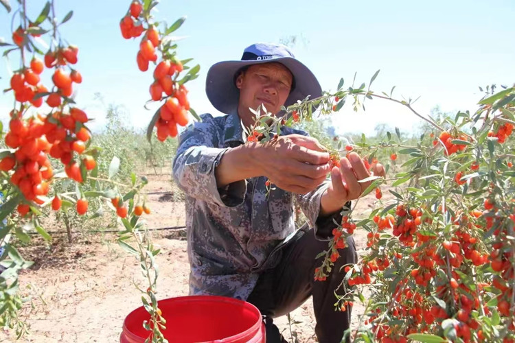 1672995864816371.jpg 11.jpg