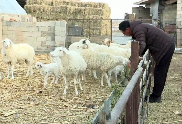 1672995884550168.jpg 33.jpg