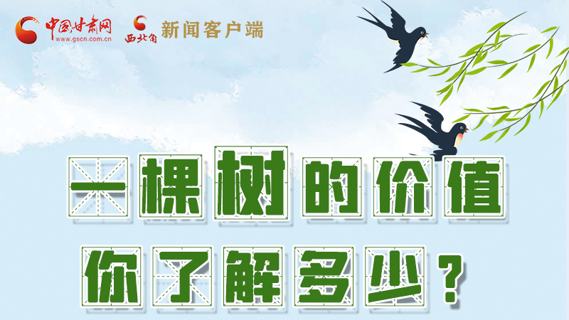 圖解|一棵樹的價值你了解多少?來看！