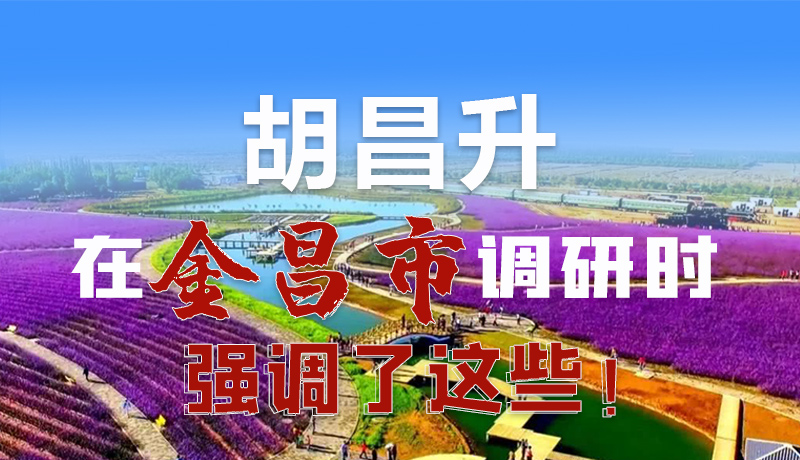 圖解|胡昌升在金昌市調(diào)研時強調(diào)了這些！