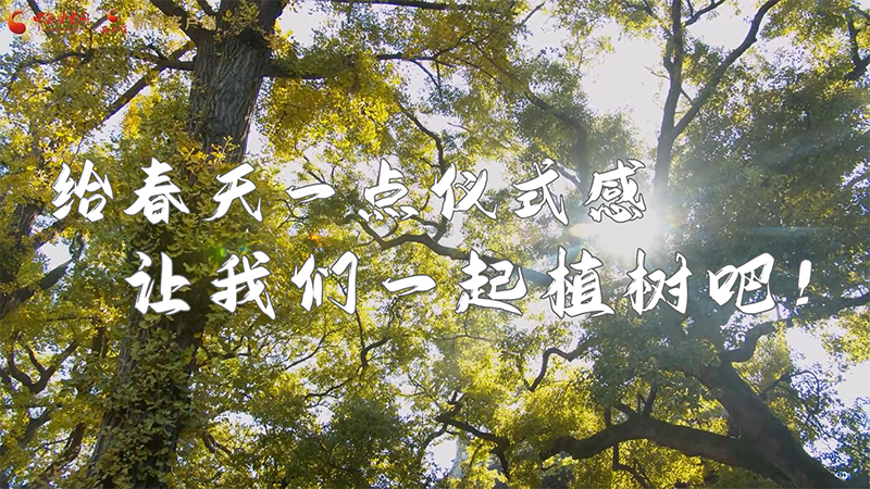 短視頻|給春天一點儀式感，讓我們一起植樹吧！