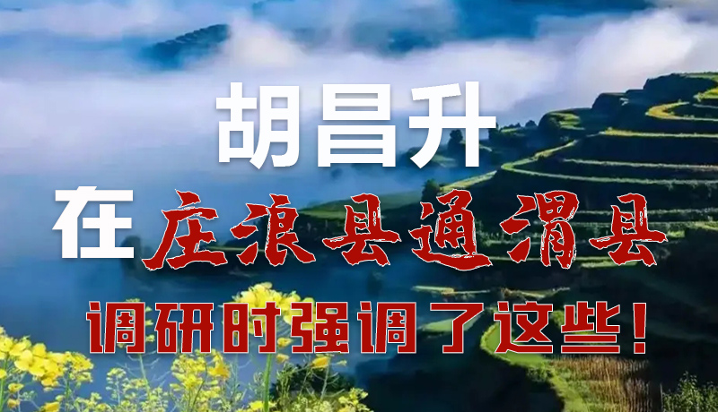 圖解|胡昌升在莊浪縣通渭縣調(diào)研時(shí)強(qiáng)調(diào)了這些！