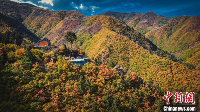 深秋，位于蘭州市榆中縣的興隆山，似打翻調(diào)色板。金峯 攝